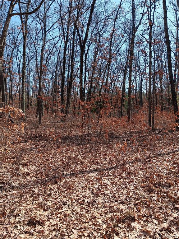 0000 Cedar Creek Road, Wellston, MI, 49689