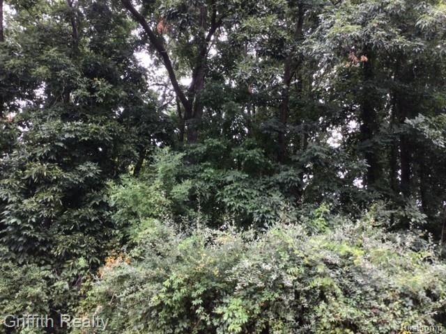 4473 Oak Pointe Drive - Photo 2