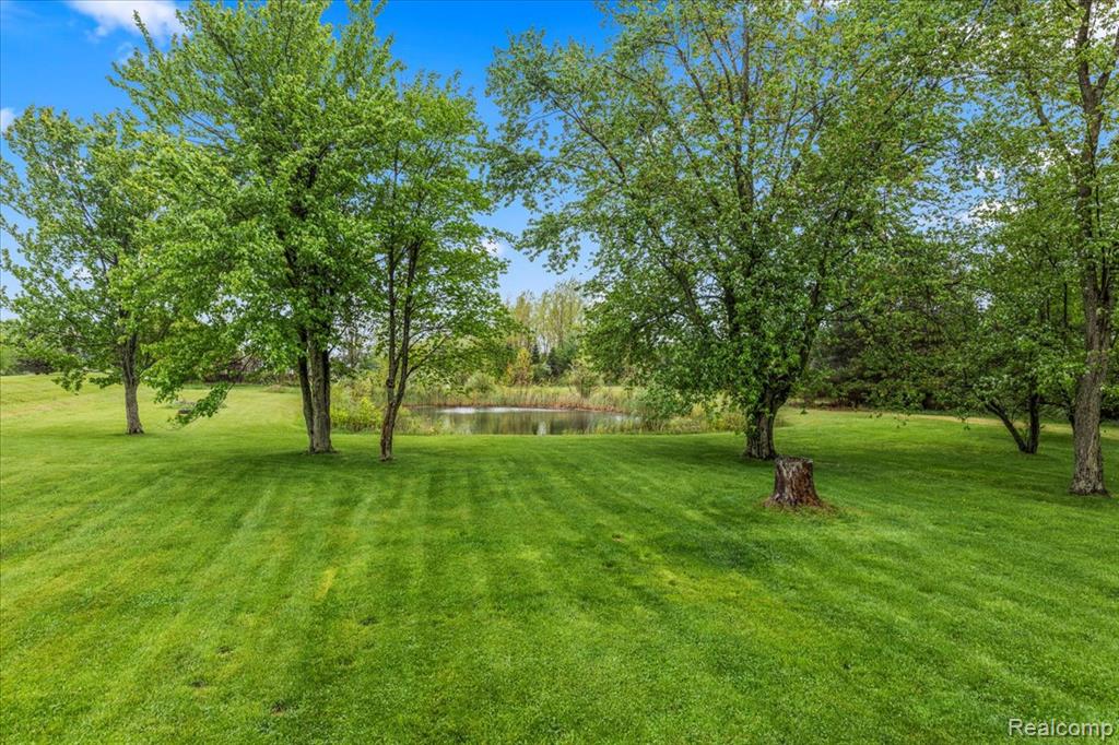 4255 OTTER LAKE Road, Otter Lake, MI 48464 — Photo 24