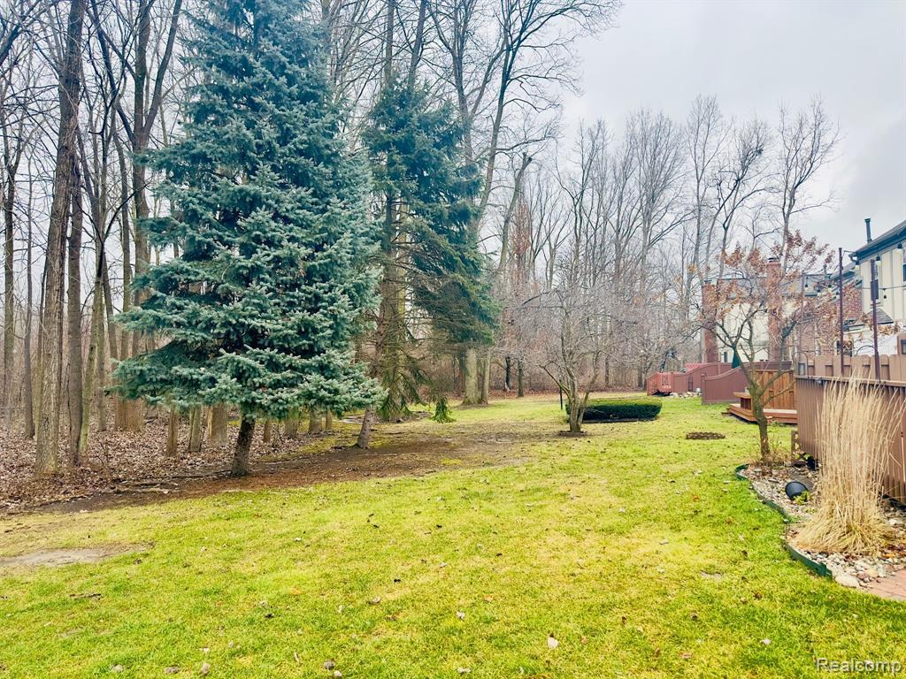 41672 WHITE TAIL Lane, Canton, MI 48188 — Photo 32