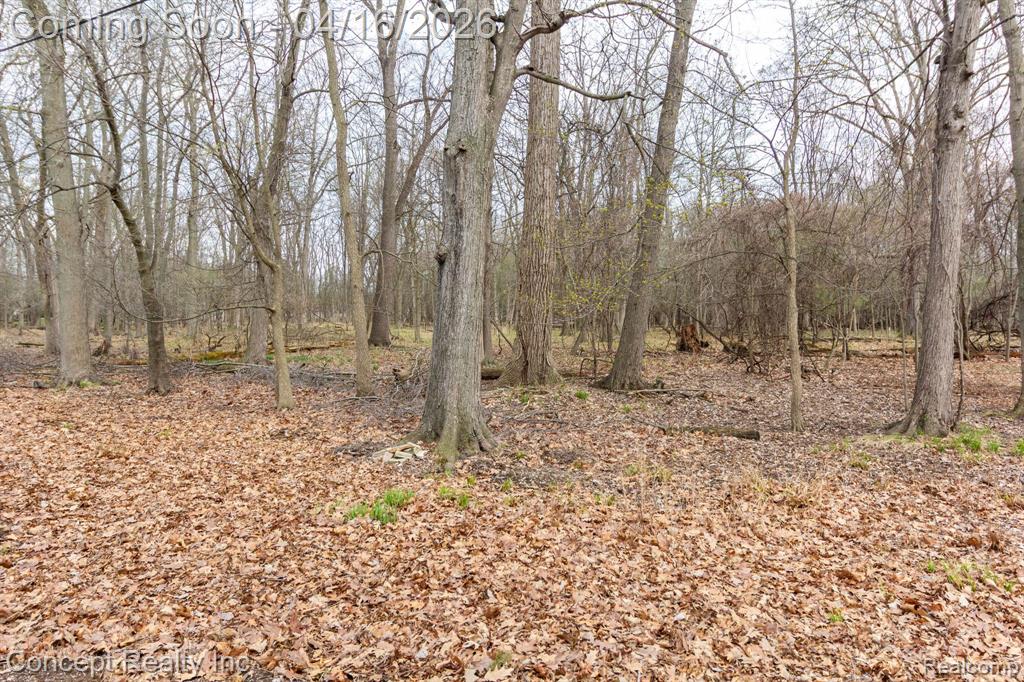 21247 Shurley Drive, Grosse Ile, MI 48138 — Photo 38