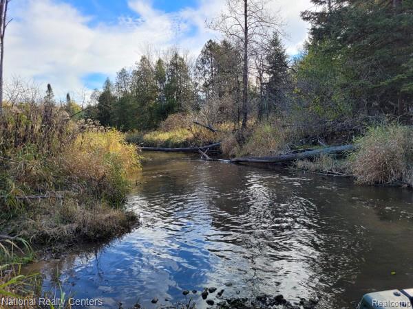 8109 M 55, Whittemore, MI 48770 — Photo 3