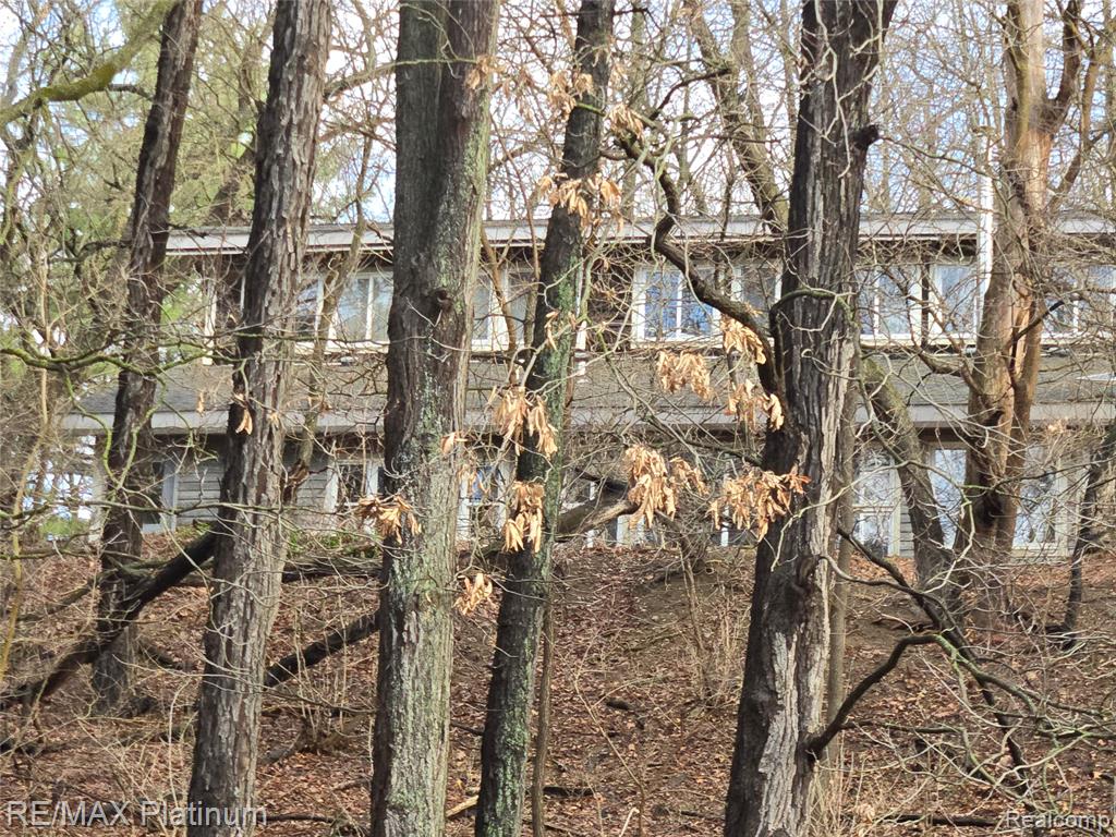 12776 Buno Road, Milford, MI 48380 — Photo 2