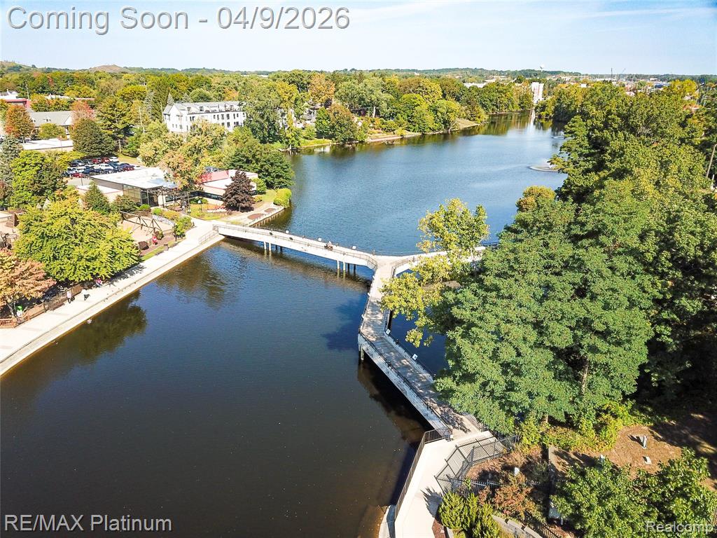 9092 Lake Dominion Drive, Brighton, MI 48114 — Photo 60