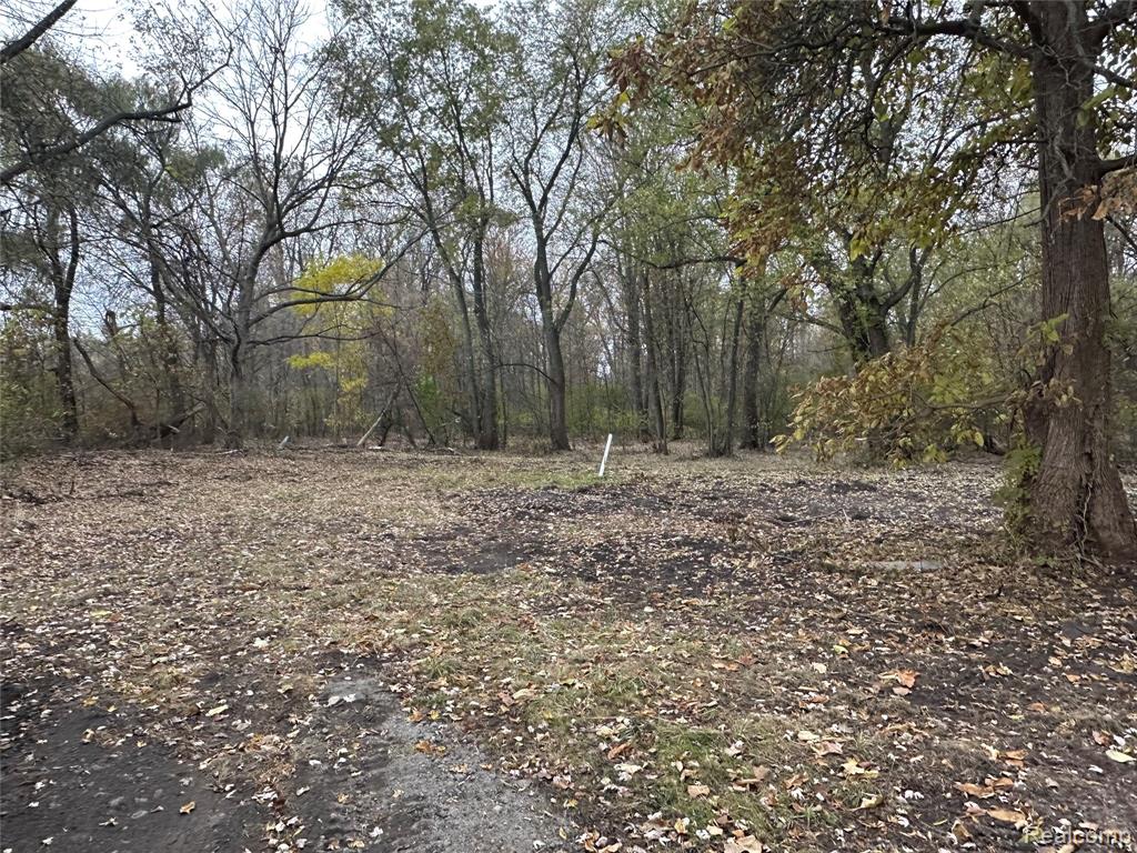 7380 Southfield Drive, Shelby Twp, MI 48316 — Photo 4