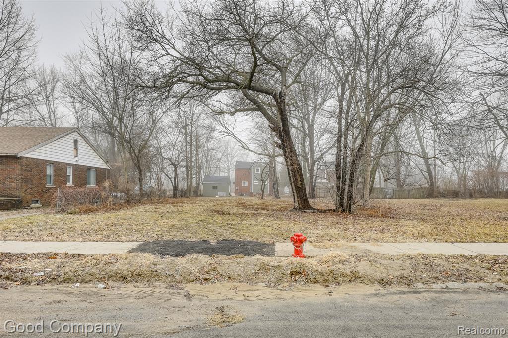 5577 Woodhall Street - Photo 3
