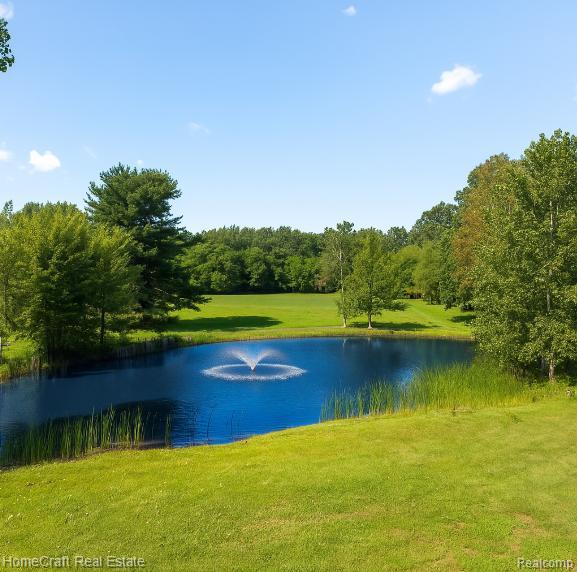 6211 NOLLAR Road, Whitmore Lake, MI 48189 — Photo 3
