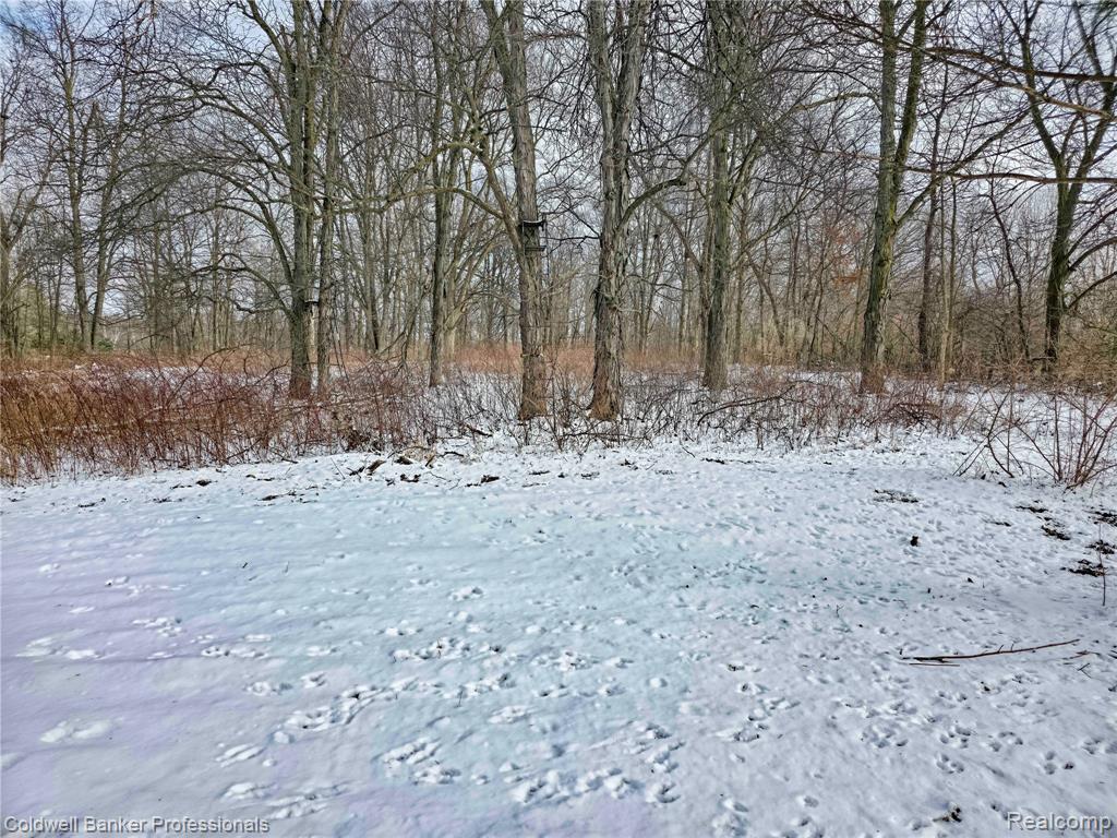 VL Columbiaville Road, Columbiaville, MI 48421 — Photo 17