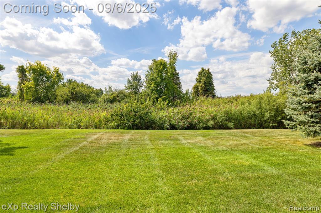 50165 Pepper Tree Drive, 52, Macomb, MI 48044 — Photo 49