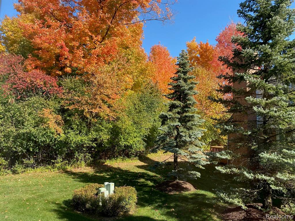 16418 Cypress Court, 54, Northville, MI 48168 — Photo 5