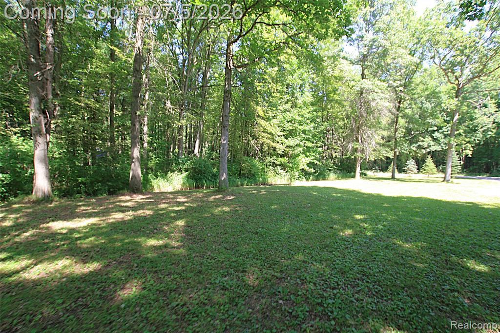 12403 Willard Road, Montrose, MI 48417 — Photo 6