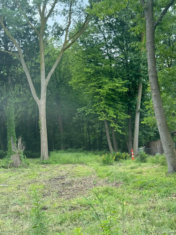 3615 S State Road, Ionia, MI, 48846