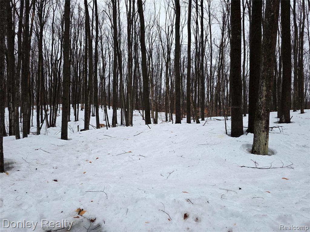 8854 Dellwood Drive, Elmira, MI 49730 — Photo 24