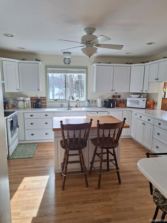3788 S Murray Road, Mayville Vlg, MI 48744 — Photo 6