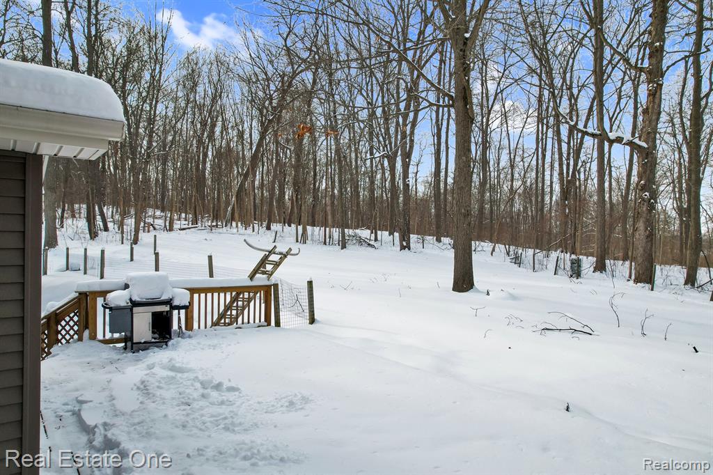 195 Corey Lane, Ortonville, MI 48462 — Photo 48