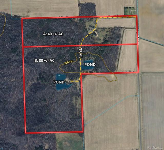 Parcel A Dodge Rd, Cass City, MI 48726 — Photo 5