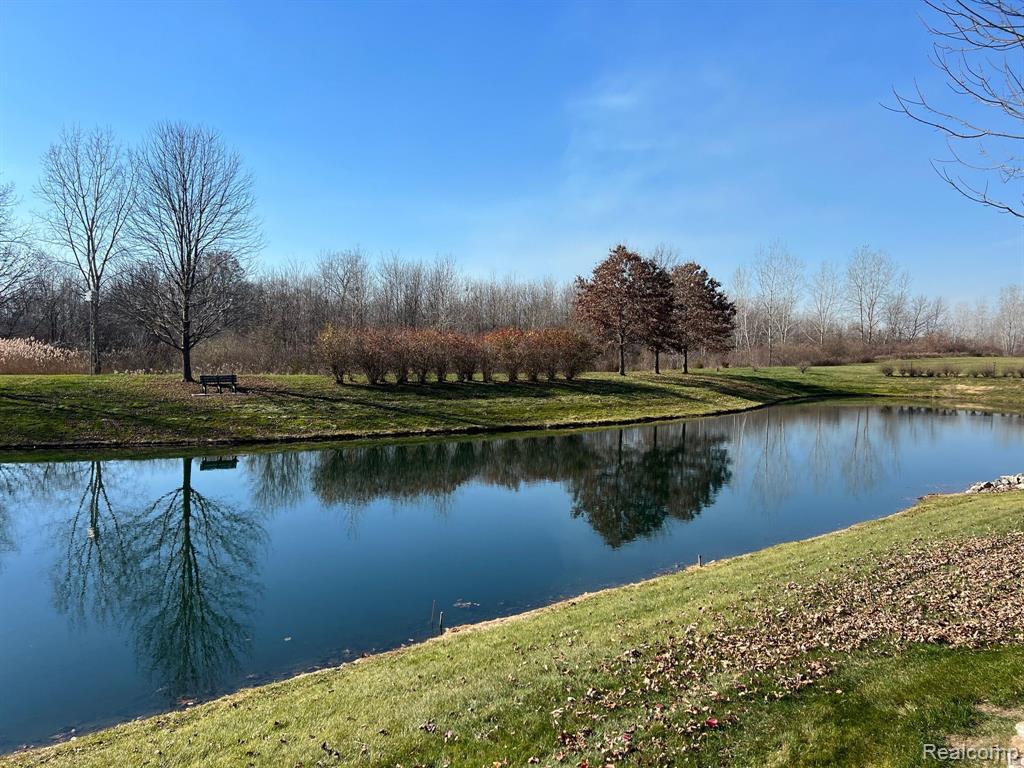 5954 PURPLE MARTIN Drive, South Rockwood, MI — Photo 5