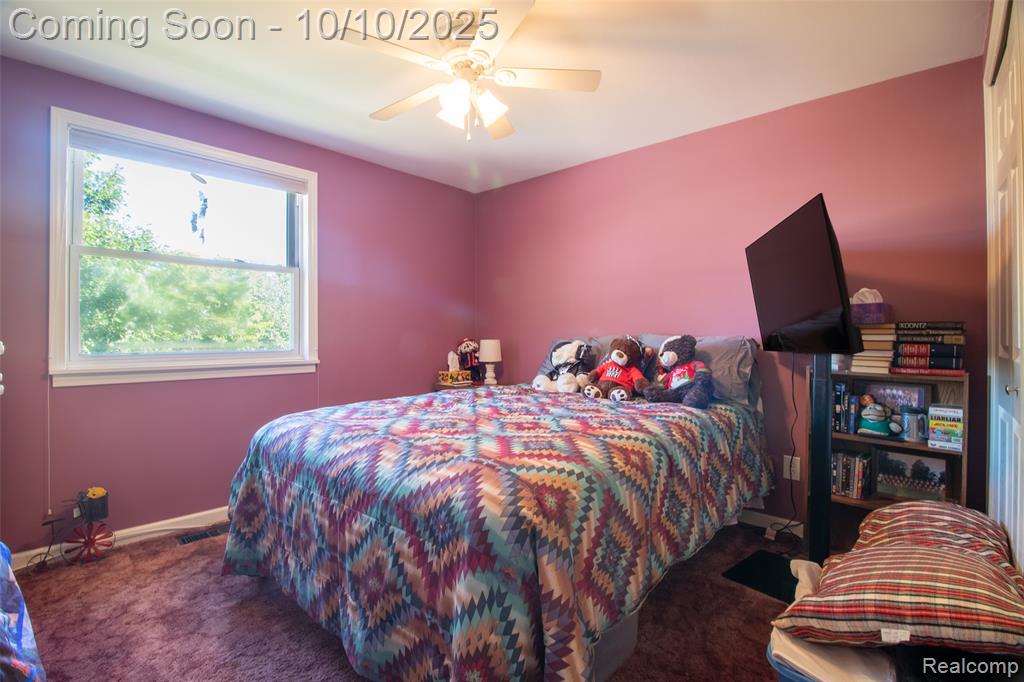 22321 N Fairway Drive, Woodhaven, MI 48183 — Photo 35