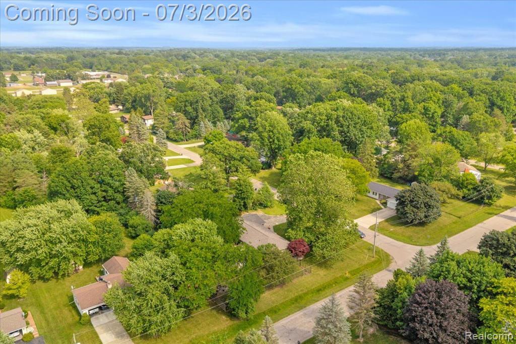 6514 Luanne Drive, Flushing, MI 48433 — Photo 29