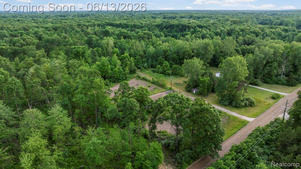51105 Arkona Road, Belleville, MI 48111 — Photo 27