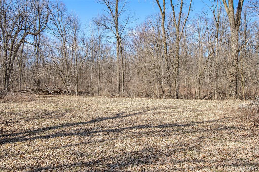 5426 W MOUNT MORRIS Road, Mount Morris, MI 48458 — Photo 31