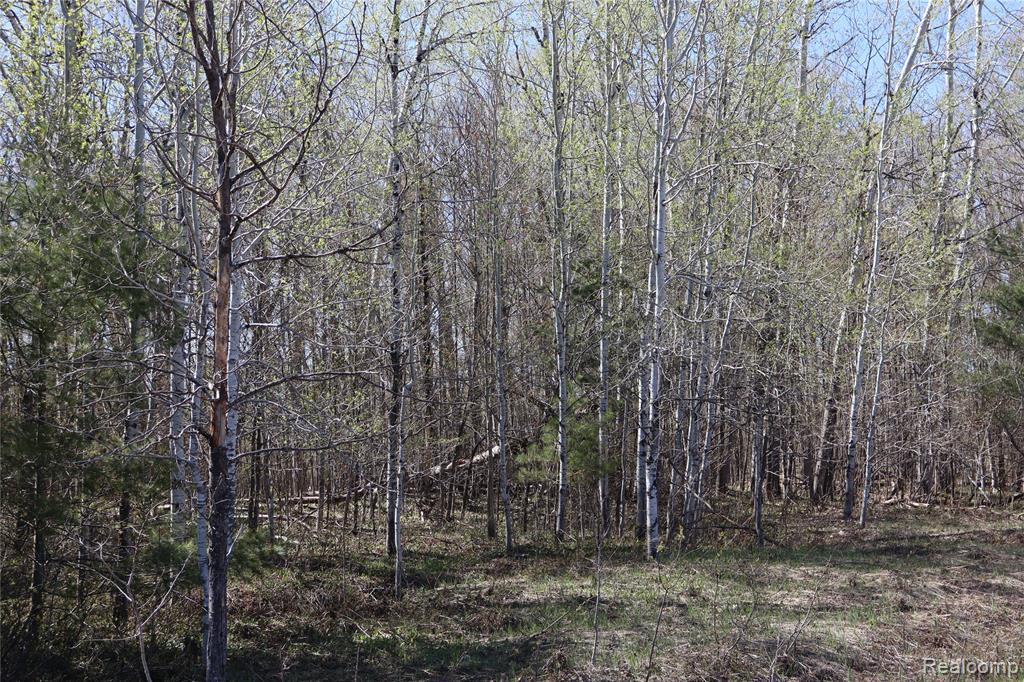 5575 E 26 Mile Road, Pickford, MI 49774 — Photo 28