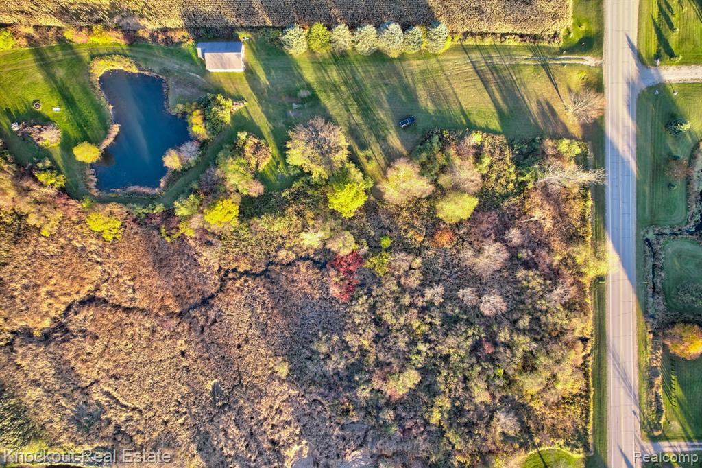 4690 Birch Run Road, Millington, MI 48746 — Photo 24