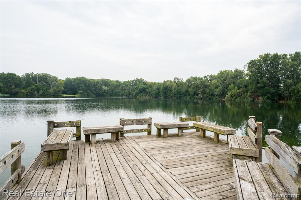 42500 LAKE SUCCESS Drive, Northville, MI 48167 — Photo 31