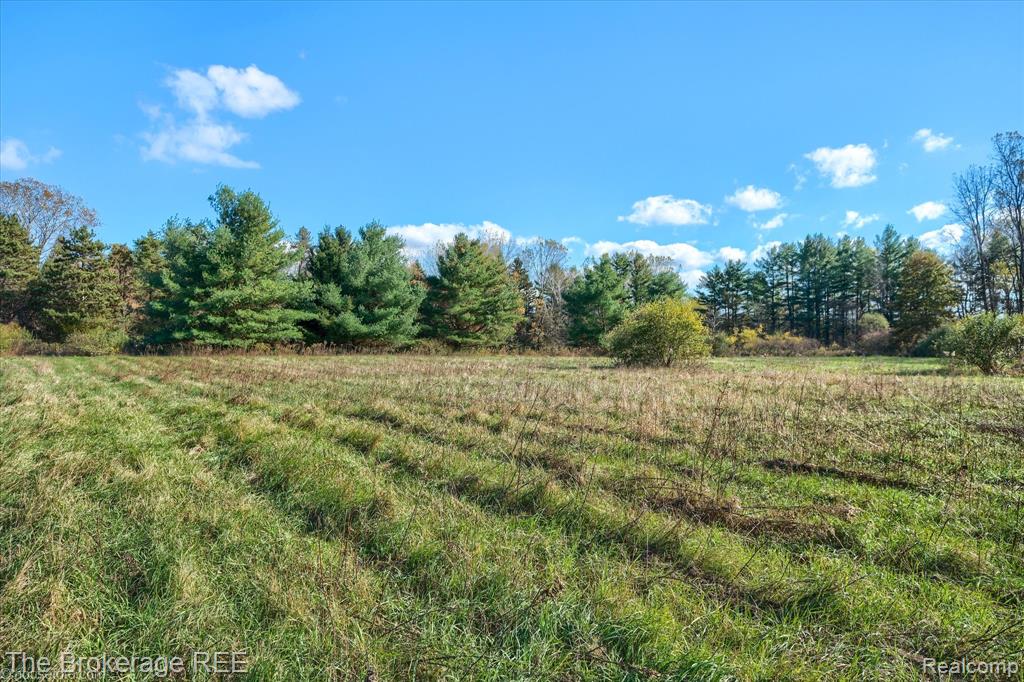 VL Janna Leigh Drive, Otter Lake, MI 48464 — Photo 9
