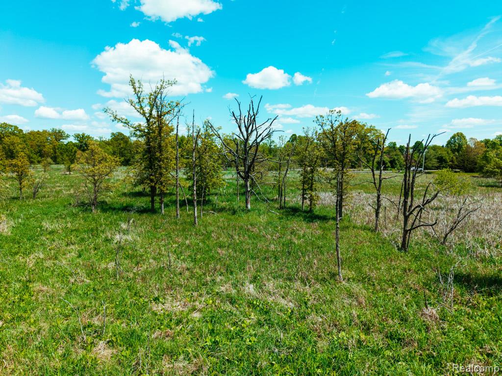 C-1 DOA Lane, Brighton, MI 48114 — Photo 12