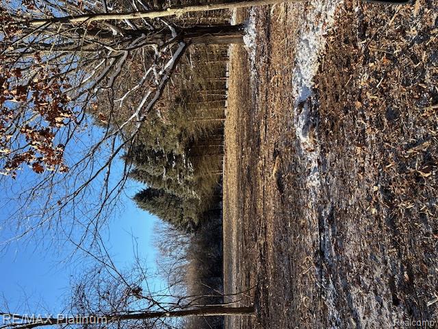Wasson Road, Gregory, MI 48137 — Photo 7