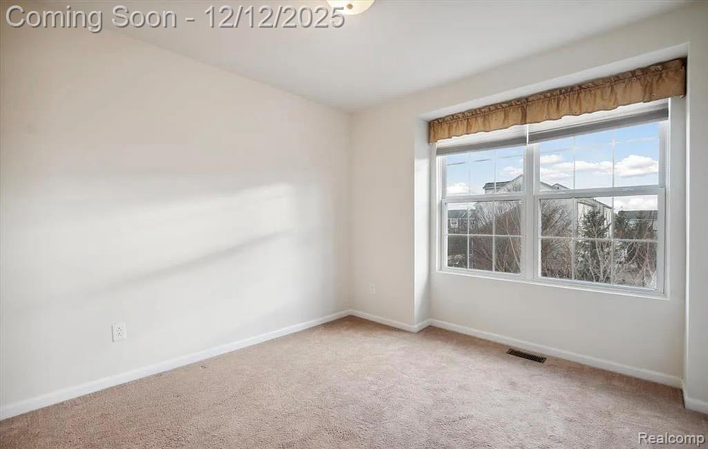 27846 Hopkins Drive, Novi, MI 48377 — Photo 23