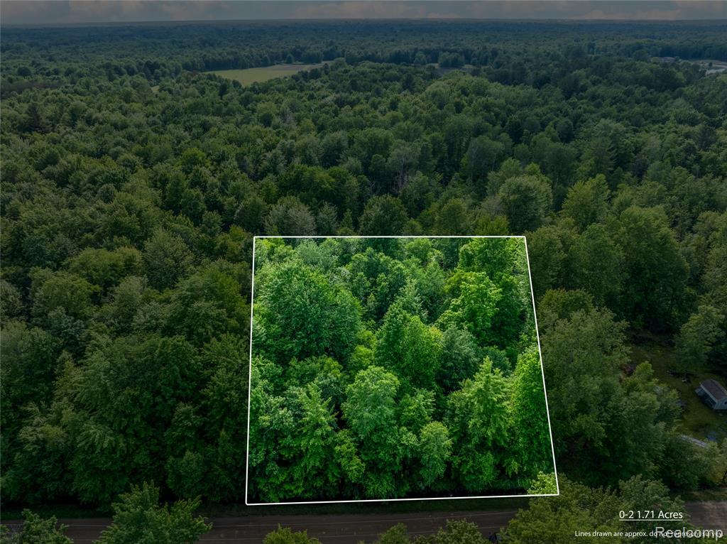 Search Homes for Sale