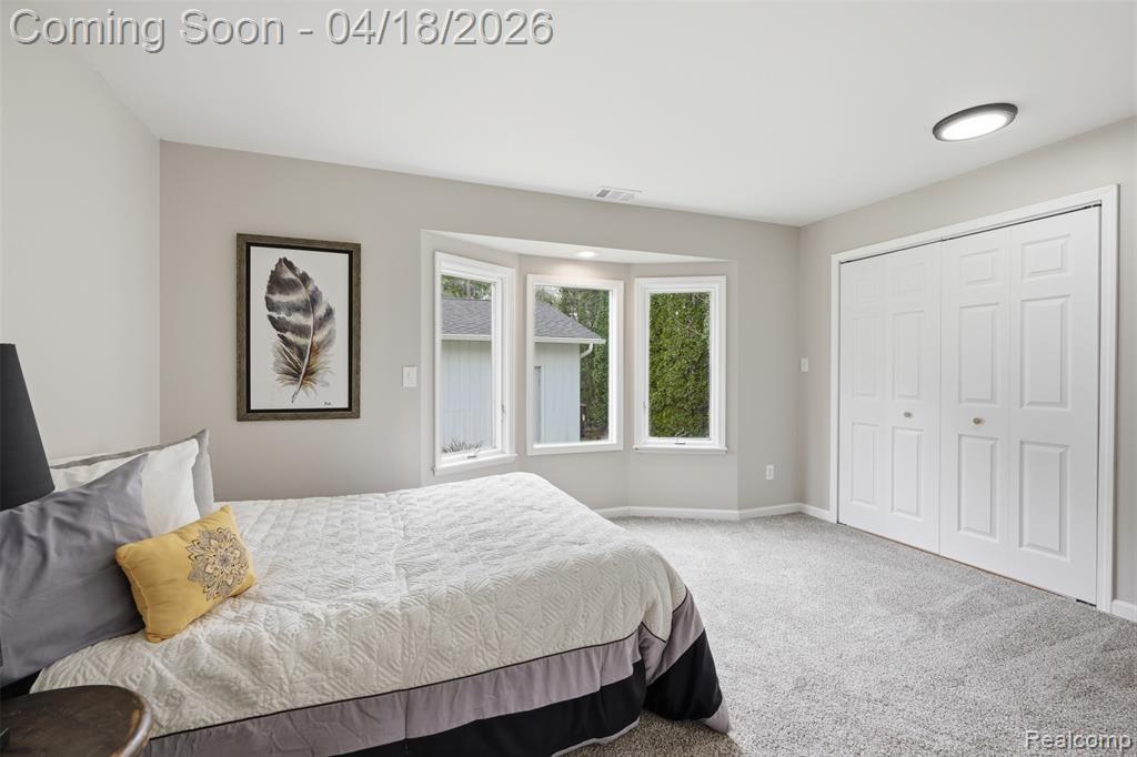 118 Gale Street, Morrice, MI 48857 — Photo 27