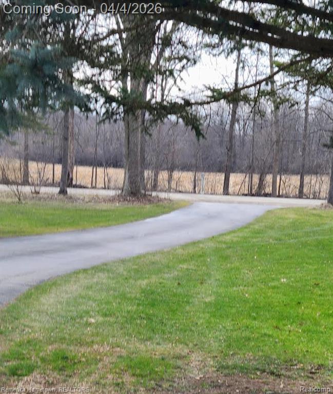 3446 N Dancer Road, Dexter, MI 48130 — Photo 4