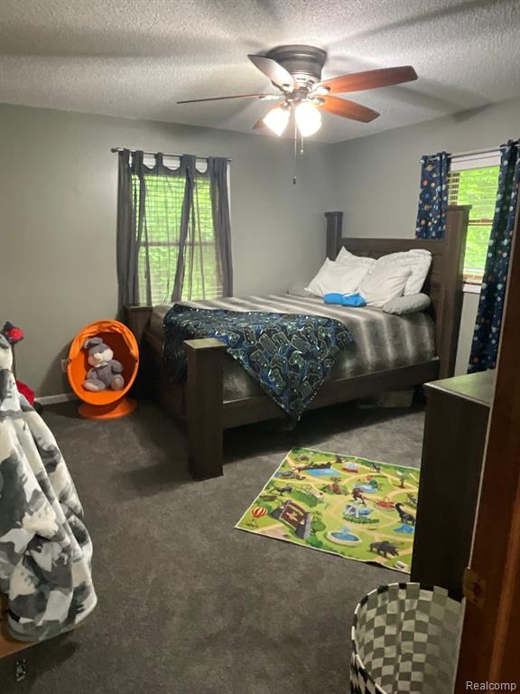 12057 Three Oaks Drive, St. Charles, MI 48655 — Photo 15