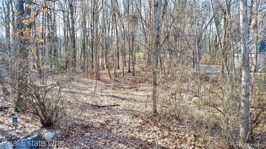 9889 Kingston Ridge, Clarkston, MI 48348 — Photo 13