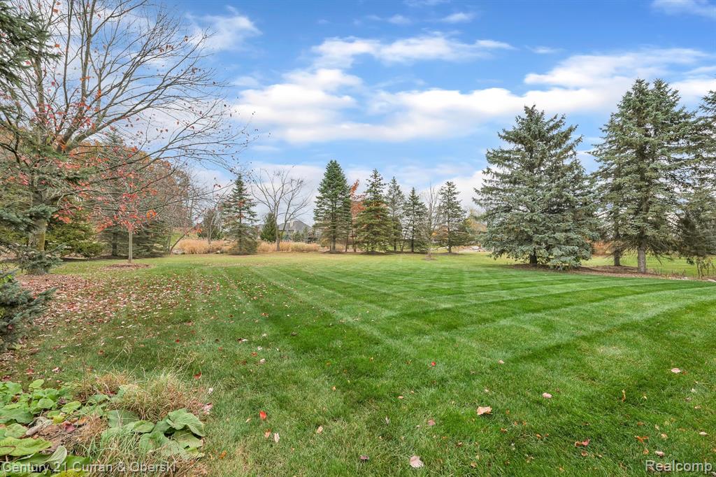 17944 RIDGEVIEW Drive, Northville, MI 48168 — Photo 38