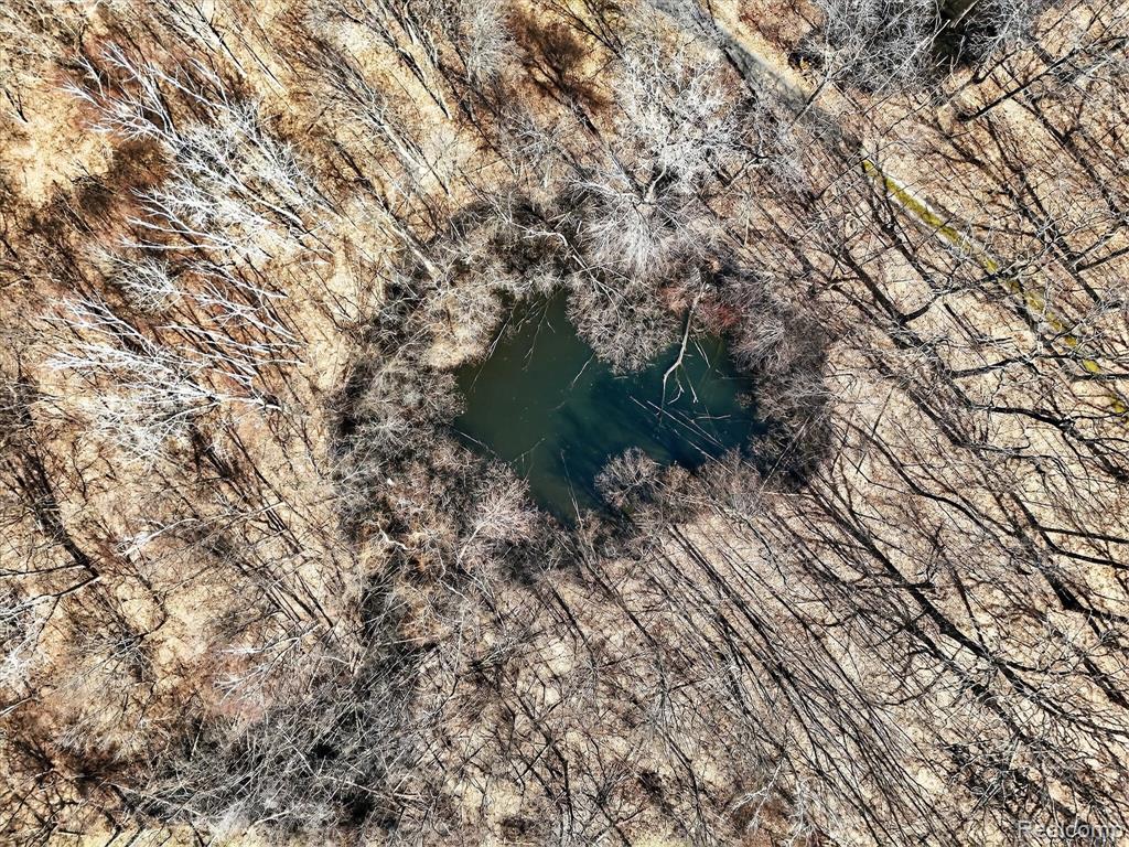 VL Herbst, Brighton, MI 48114 — Photo 12