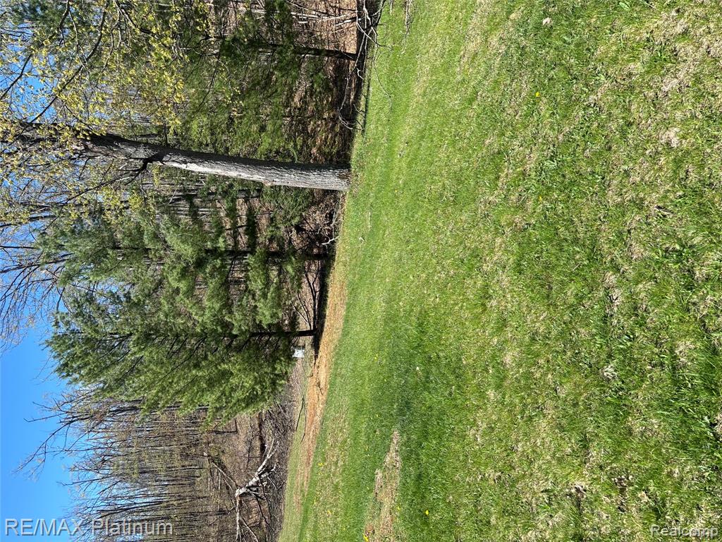 4125 Hubbard Lake Trail, Hubbard Lake, MI 49747 — Photo 11