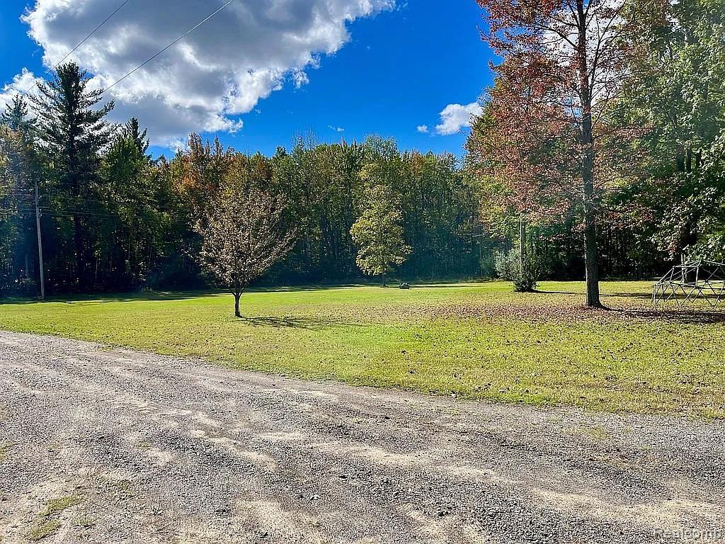 2829 Mushroom Road, Caro, MI 48723 — Photo 21