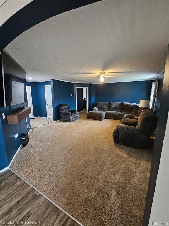 13887 S SUNFIELD, Lake Odessa, MI 48849 — Photo 5