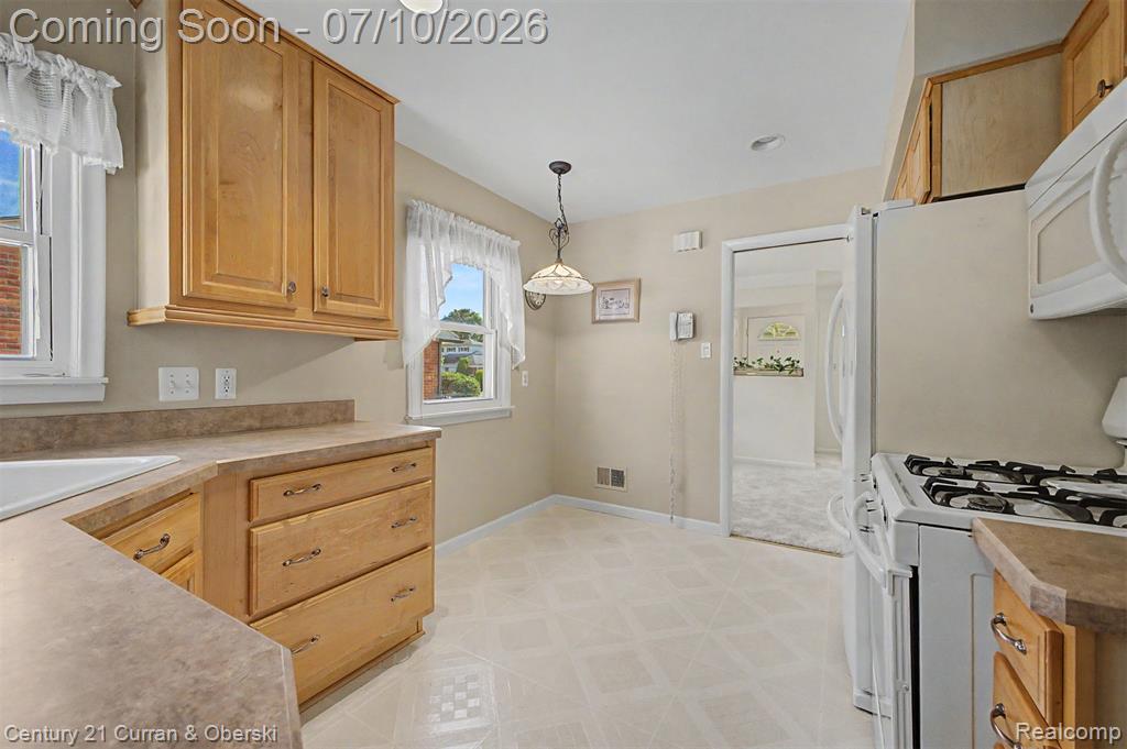 542 Central Street, Inkster, MI 48141 — Photo 9