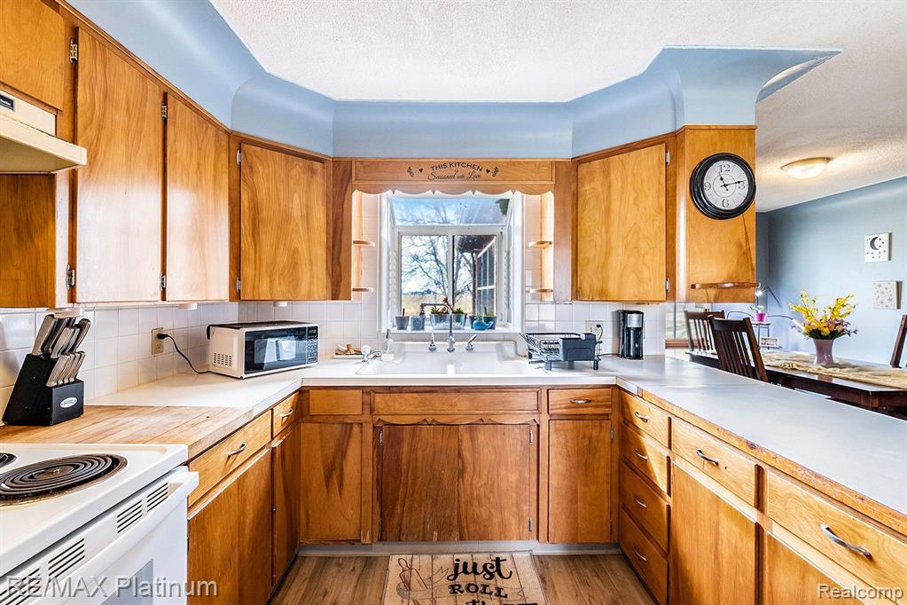 17801 CORUNNA Road, Chesaning, MI 48616 — Photo 12