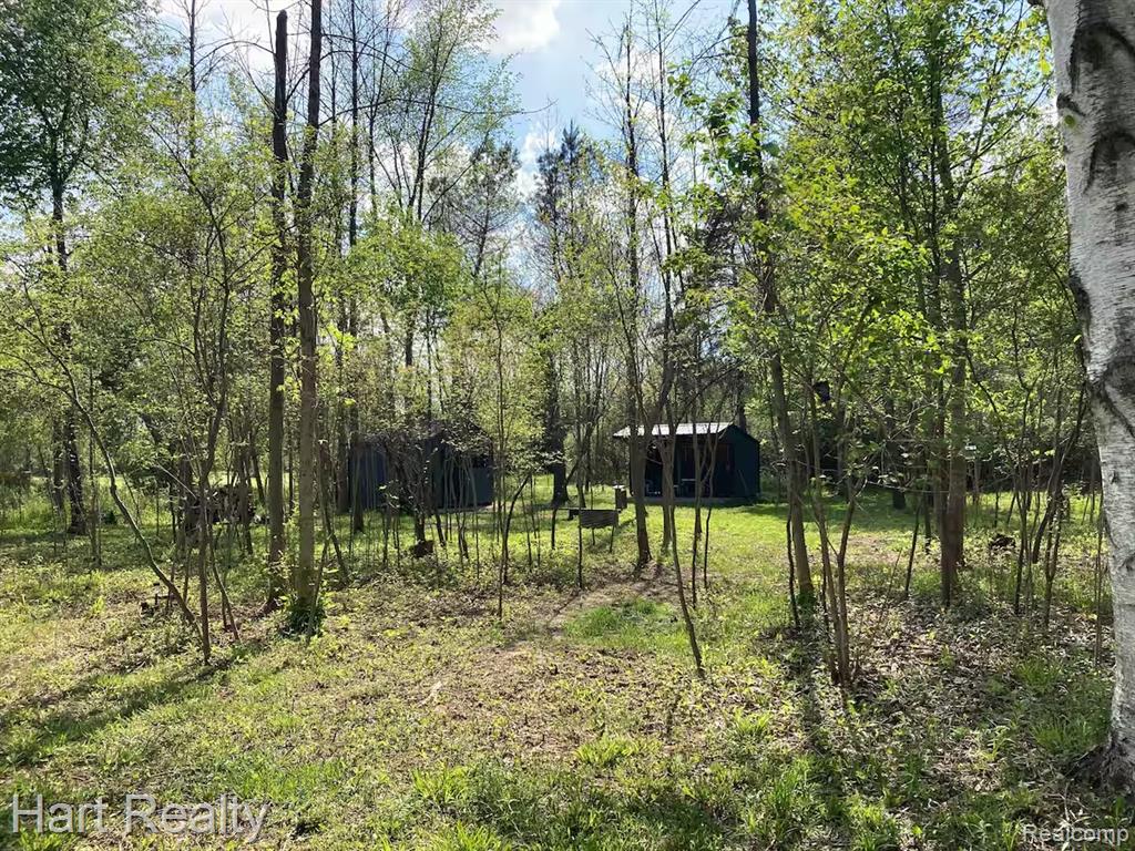 4250 Midway Road, MI — Photo 12