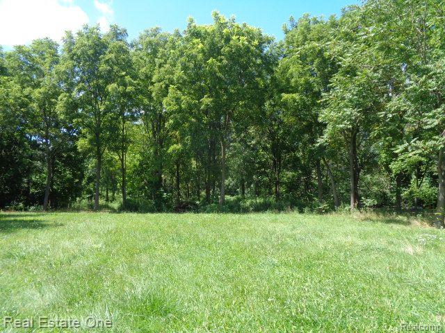 18985 TRINITY Street, Detroit, MI 48219 — Photo 2