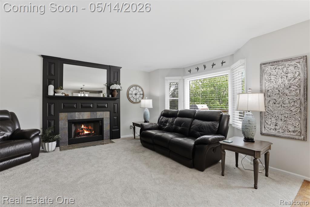 11163 Sand Crane Way, South Lyon, MI 48178 — Photo 24