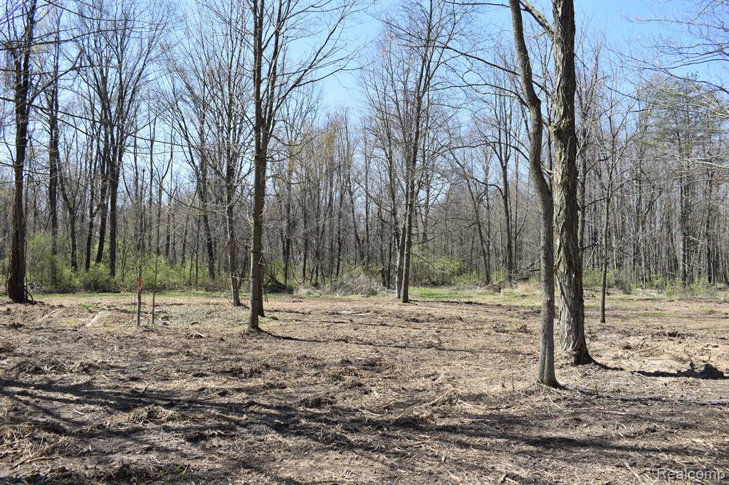 P-9 W ALLEN Road, Fowlerville, MI 48836 — front exterior