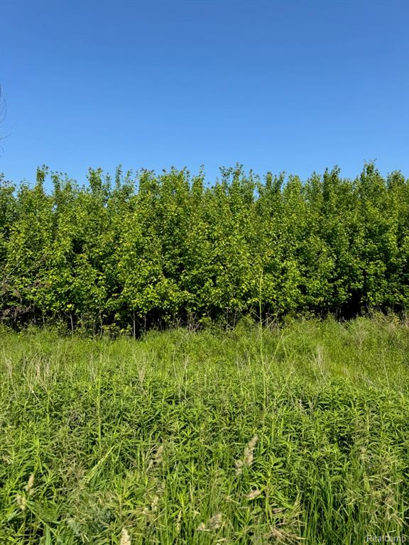 0001 Duquette Road, Peck, MI 48466 — Photo 10
