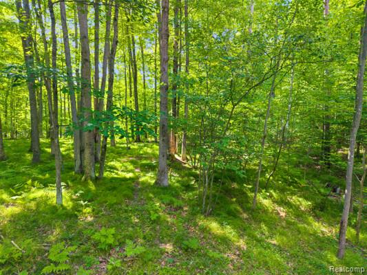 2600 Lucinda Drive, Prescott, MI 48756 — Photo 12